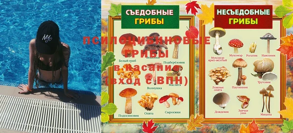 сатива Алексеевка